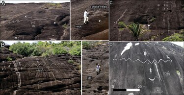 Descubren en el Orinoco grabados rupestres gigantes de hace miles de años