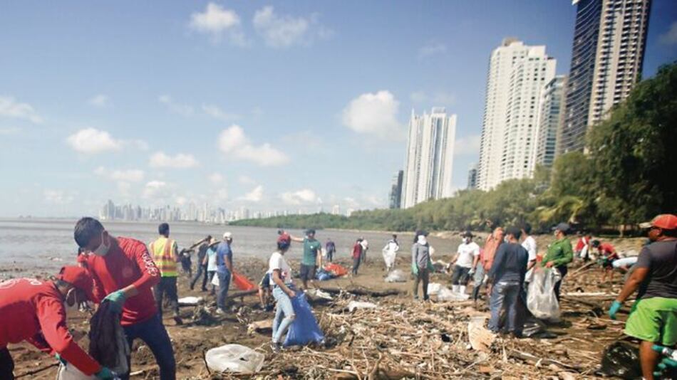 Voluntarios dan un respiro a la costa