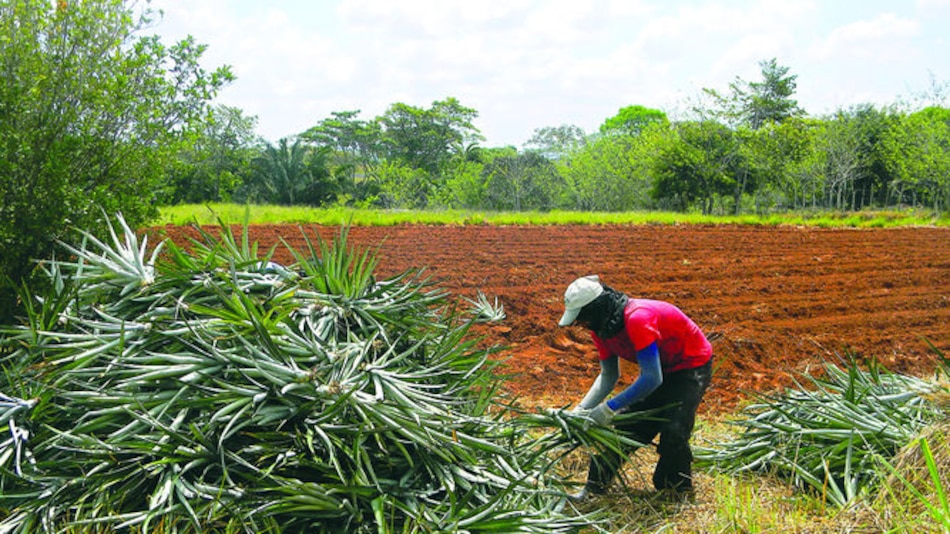 Agroquímicos, una amenaza para el suelo, el agua y la salud humana