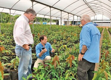 Tecnología israelí a prueba en el campo panameño