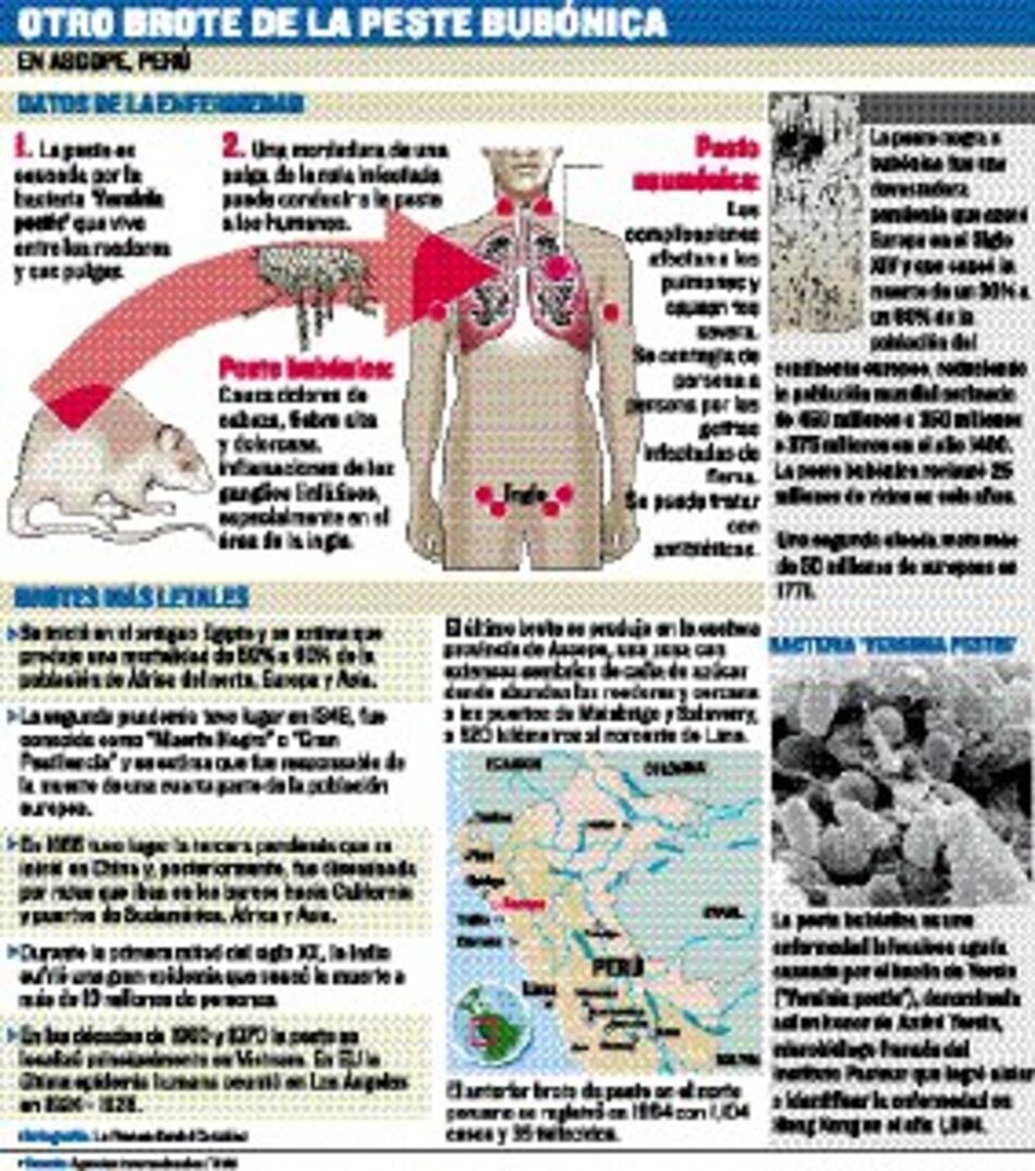 Perú reporta brote de peste bubónica