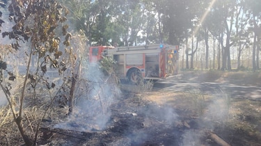 Bomberos registran 756 incendios de masa vegetal en 50 días de 2026