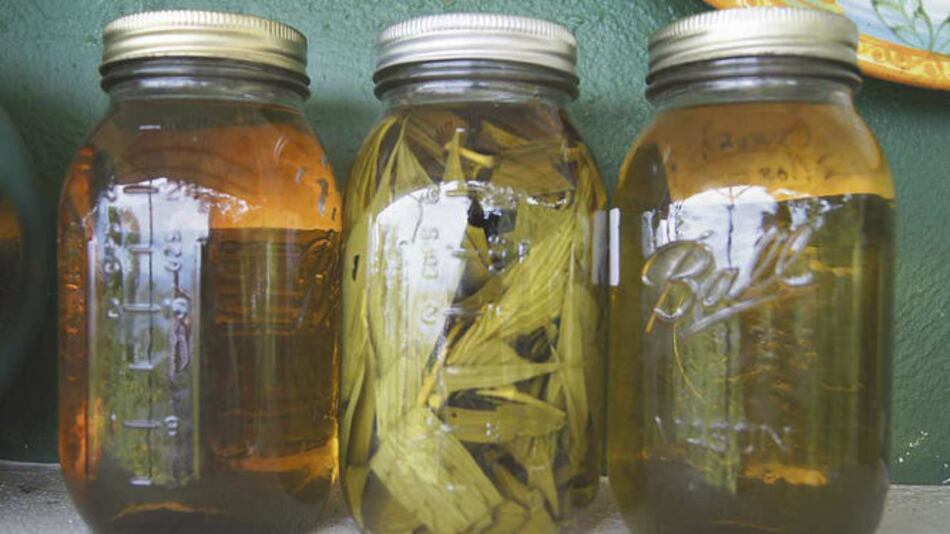 Por qué se enseña medicina alternativa en Harvard