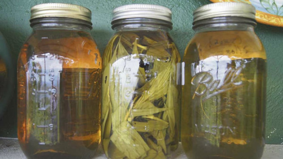 Por qué se enseña medicina alternativa en Harvard