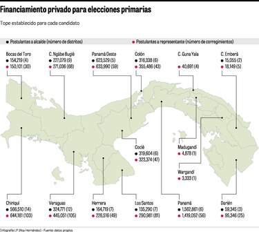 Tribunal Electoral reglamenta topes de financiamiento privado