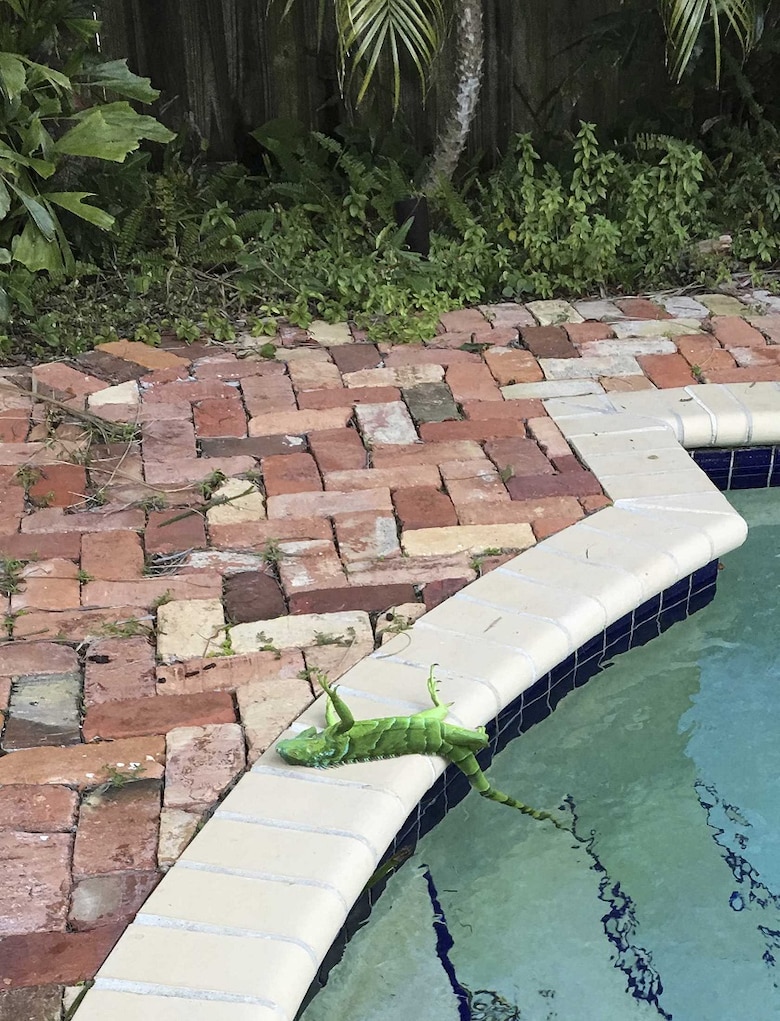 Un frío ártico se apodera del noreste de Estados Unidos tras el 'ciclón bomba'