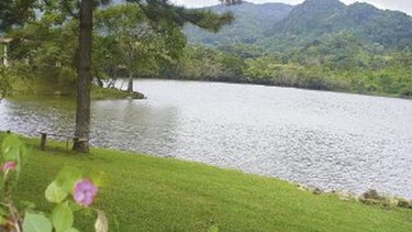 La Laguna, acampar bajo las estrellas