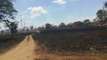 Incendio en la meseta de Chorcha destruye 500 hectáreas de pastizales