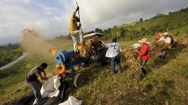 Restablecen aranceles de importación