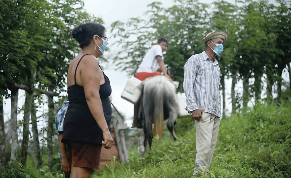 Las causas de la desigualdad