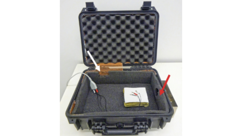 Habilidades auditivas y coexistencia de especies