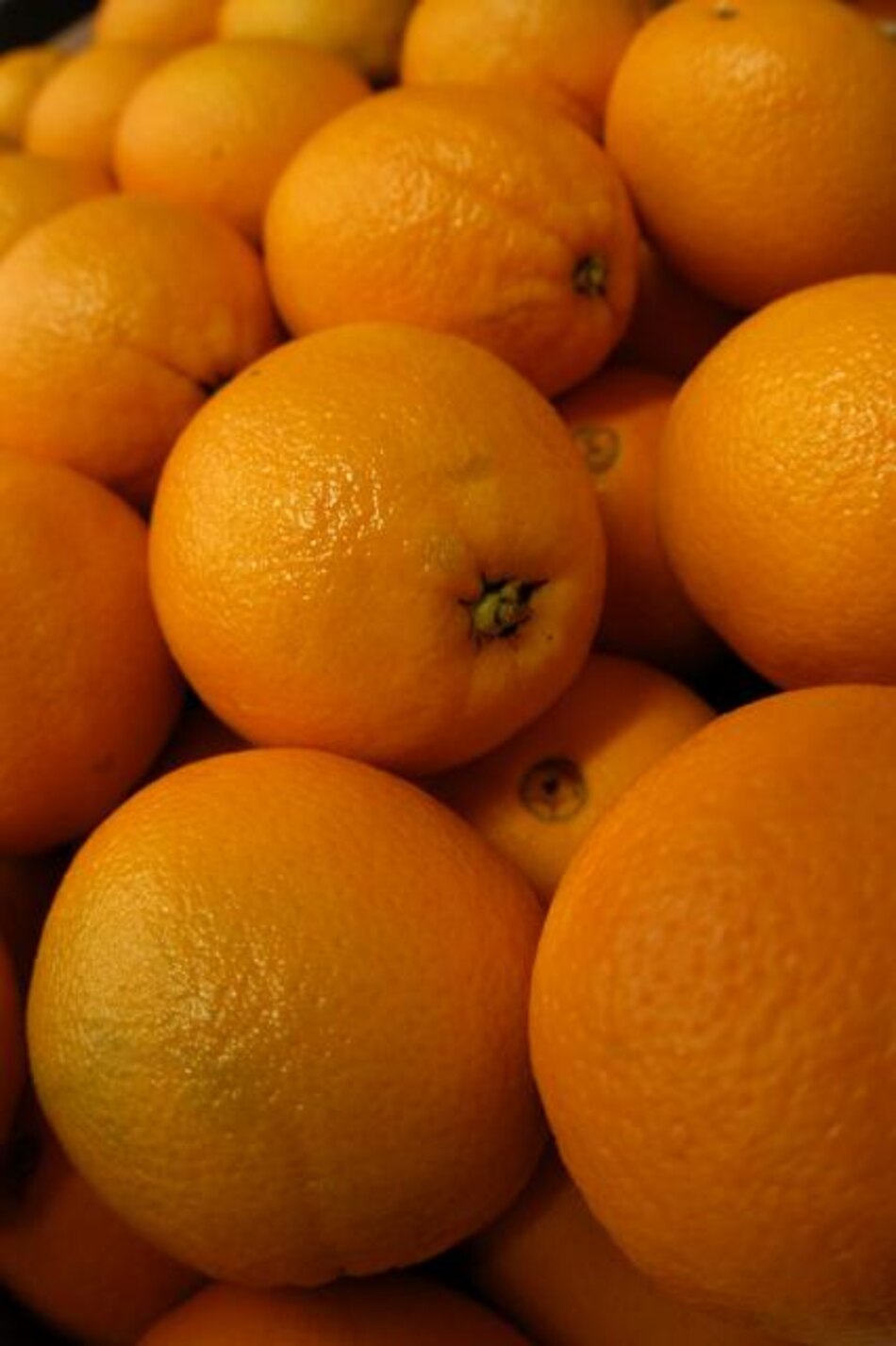 Exportadores se alarman por excedente récord de naranjas en Brasil