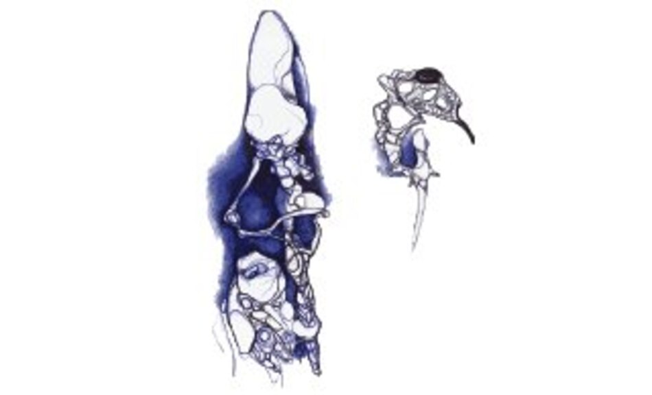 Un pintor, dos muestras