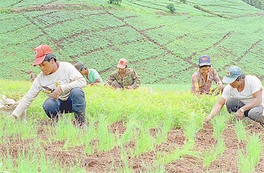 Gobierno divulga beneficios para Guatemala del Acuerdo de Asociación con UE