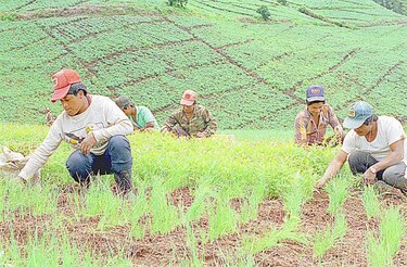 Gobierno divulga beneficios para Guatemala del Acuerdo de Asociación con UE