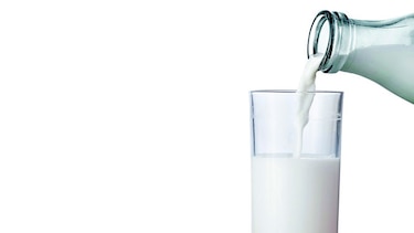Las bondades de la leche en el organismo