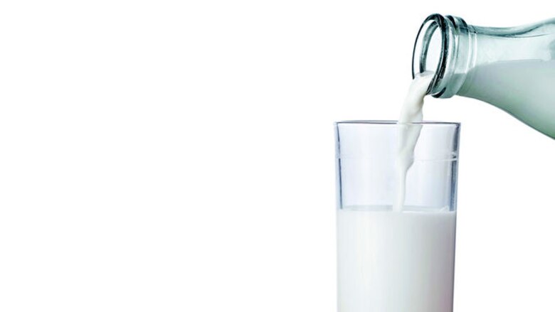 Las bondades de la leche en el organismo