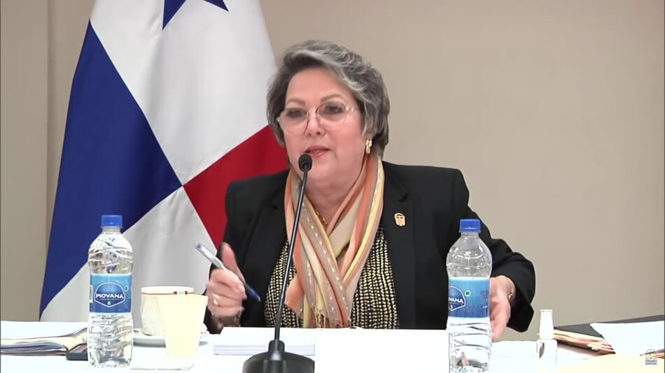 La Corte admite una de las demandas de inconstitucionalidad contra el contrato minero