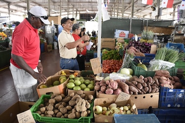 Vivienda y alimentos lideran alza de precios al consumidor