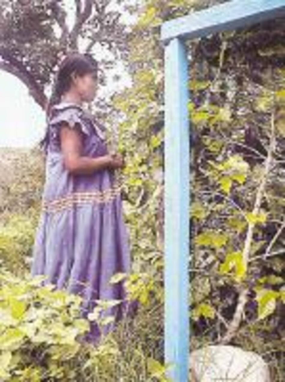 Recorrido por los cafetales de Chiriquí