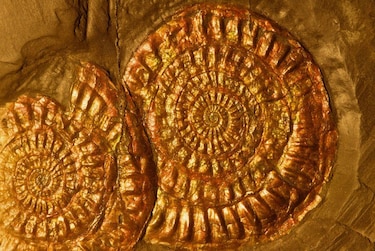 Qué extrañas pistas de nuestra civilización hallará quien explore la Tierra cuando ya no existamos