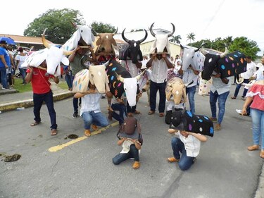 El Festival del Toro Guapo, bajo un formato virtual, empieza a partir de este jueves