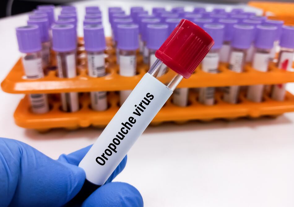 OMS considera ‘alto’ el riesgo sanitario por brotes de oropouche en países de América