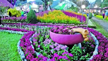 Más que flores y café