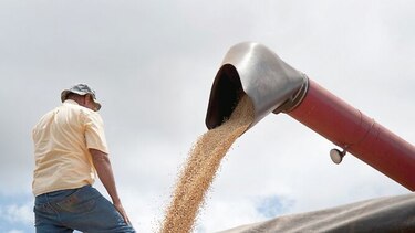 Aumenta competencia por producción de soja