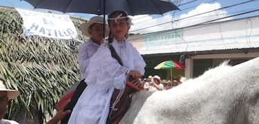 Concluye el Festival del Manito de Ocú con desfile folclórico