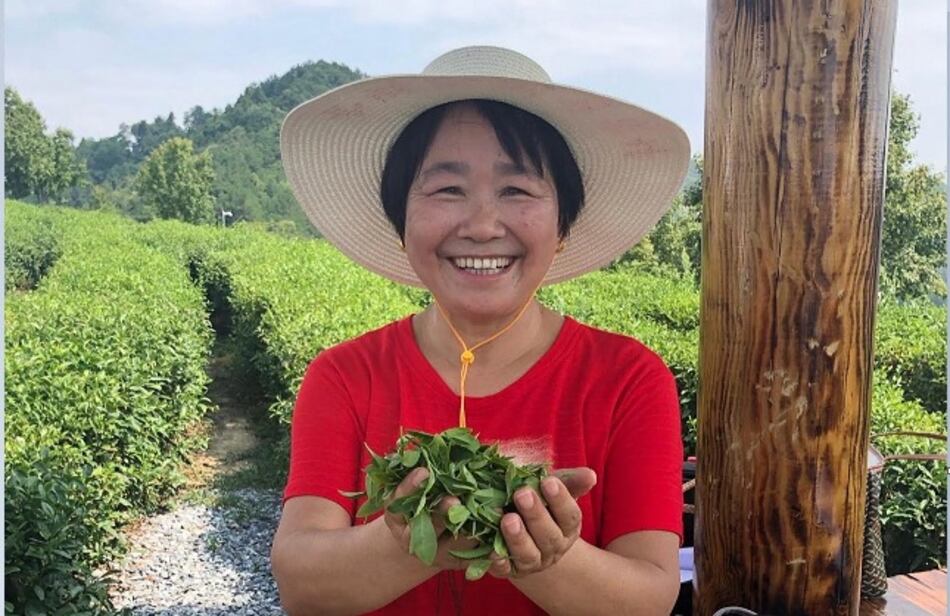 El té en China: más que una bebida, un símbolo cultural