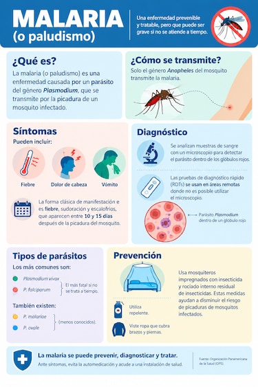 Minsa detecta 34 casos de malaria en trabajadores informales en los alrededores de Merca Panamá