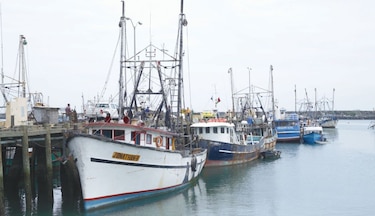 Panamá será auditada por la Unión Europea en junio sobre los controles en la pesca