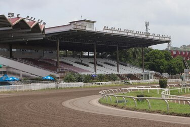 Ocho caballos en el Clásico Día Internacional del Trabajador