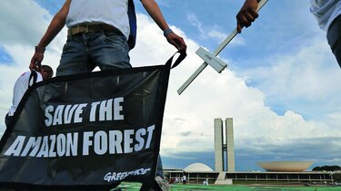 ‘Madera manchada de sangre’ en brasil: Greenpeace