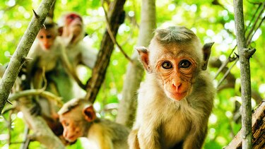 Matiné, con sentido ecológico