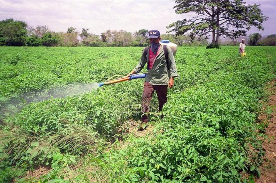 Proyecto de ley que regula el uso de agroquímicos irá a consulta