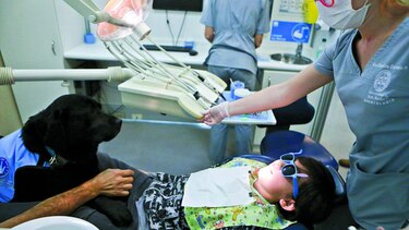 Perros ayudan a niños autistas