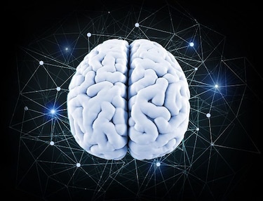 Cinco mitos sobre el cerebro (II parte)