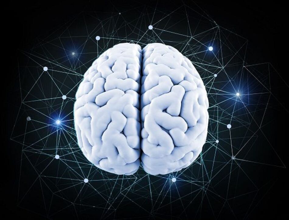 Cinco mitos sobre el cerebro (II parte)