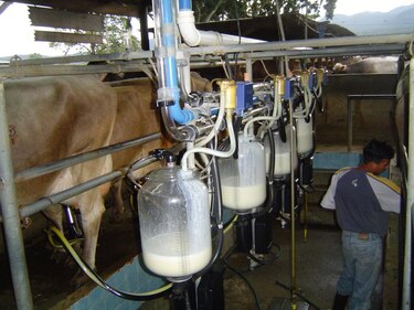 Panamá busca apelar fallo de la OMC, pero Costa Rica se opone a seguir con la disputa