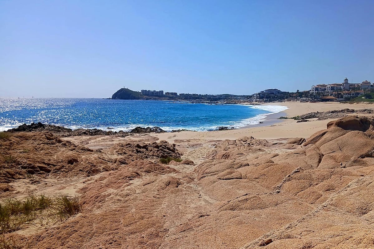El Foro Mar de Cortés afirma que restaurar ecosistemas es también recuperar la “esperanza”