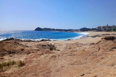 El Foro Mar de Cortés afirma que restaurar ecosistemas es también recuperar la ‘esperanza’