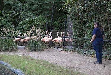 Zoológico protege animales antes de la llegada de Florence