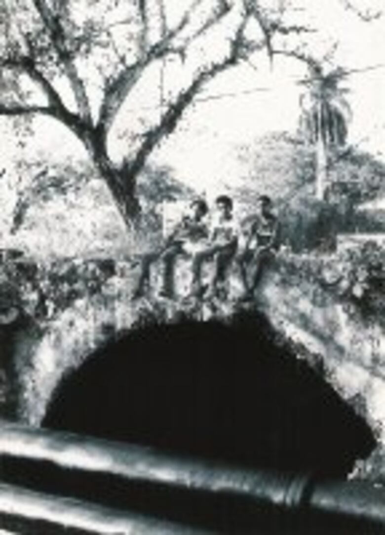 Histórico puente en el olvido