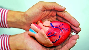 Conectados por el corazón
