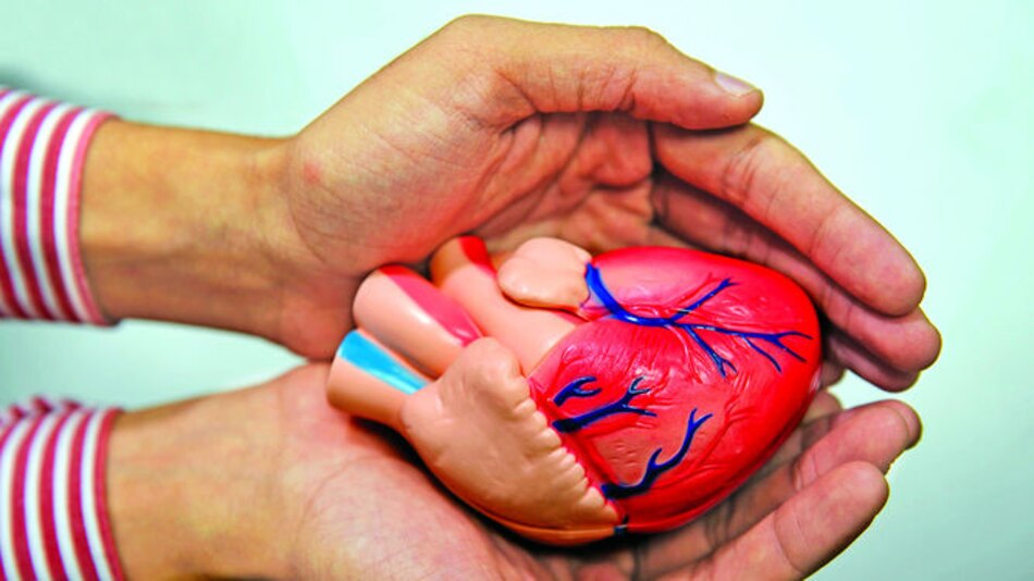 Conectados por el corazón