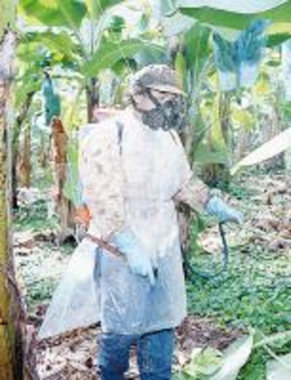 Huelga paraliza empresa Chiquita Brands de Honduras