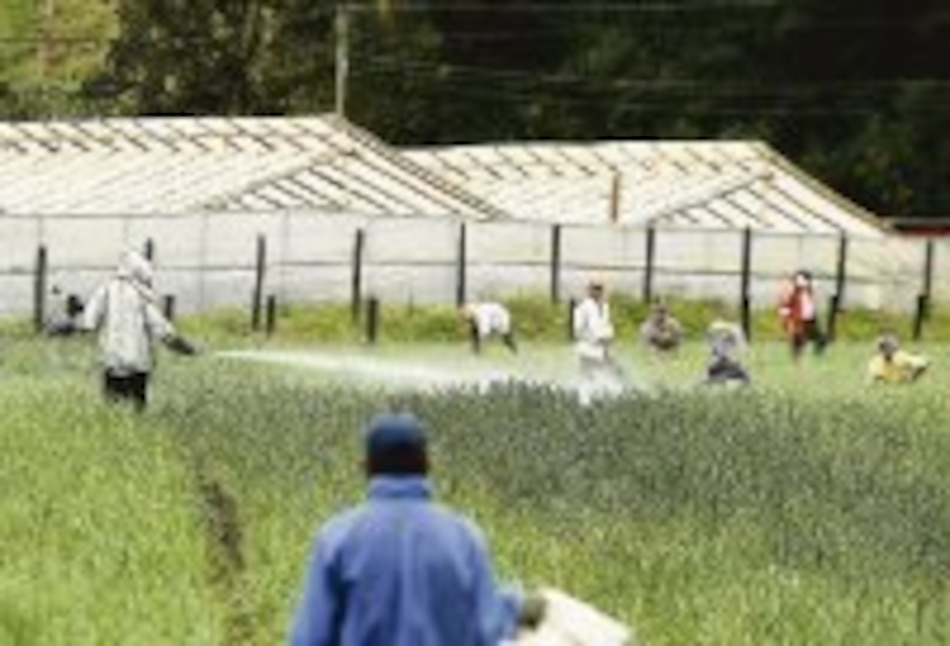 Agroquímicos, sin control