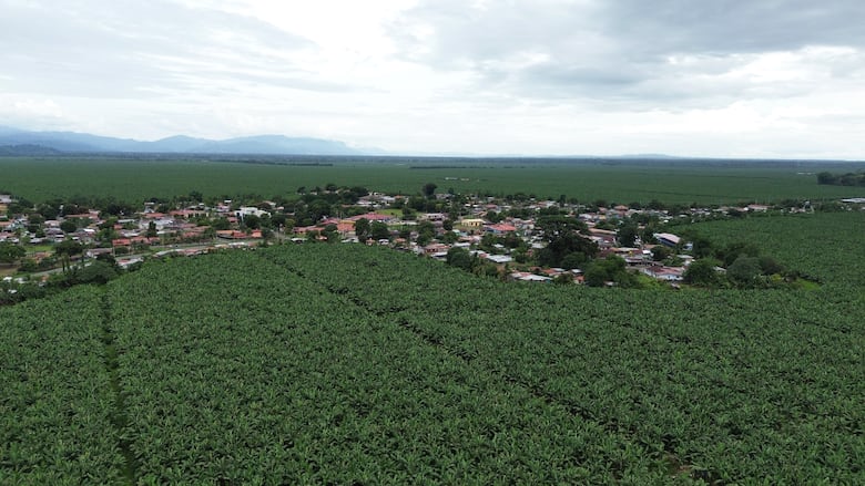 Estado de emergencia en Bocas del Toro: estos son los siete negociadores de la crisis